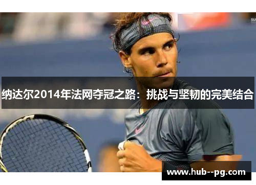 纳达尔2014年法网夺冠之路：挑战与坚韧的完美结合