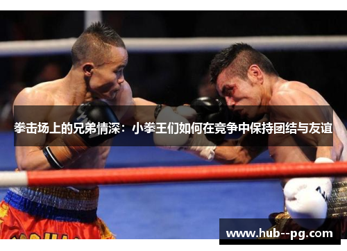 拳击场上的兄弟情深:小拳王们如何在竞争中保持团结与友谊 拳击场上的兄弟情深:小拳王们如何在竞争中保持团结与友谊